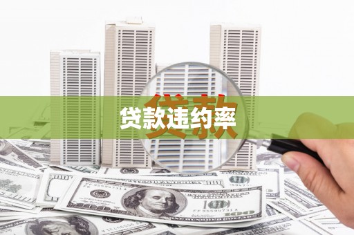 三沙贷款违约率