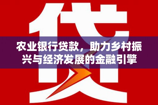 聂荣农业银行贷款，助力乡村振兴与经济发展的金融引擎