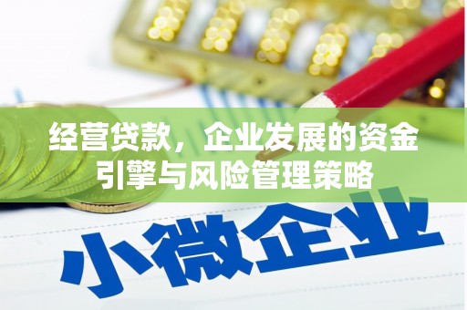 内湖经营贷款，企业发展的资金引擎与风险管理策略