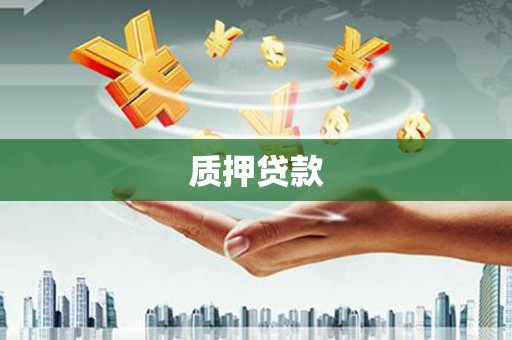 新营质押贷款
