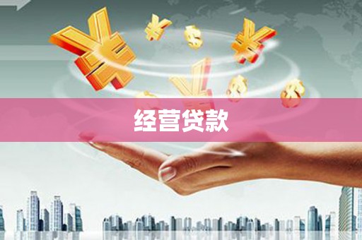 嵩县经营贷款