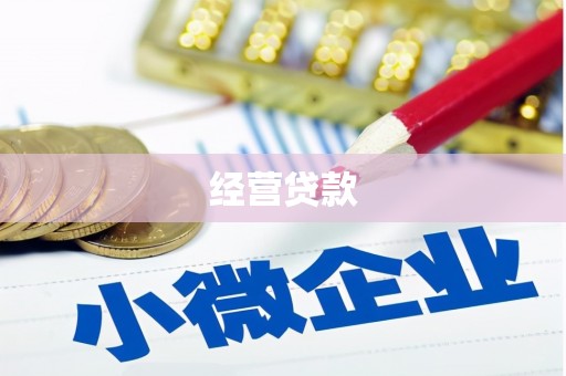 滦南经营贷款