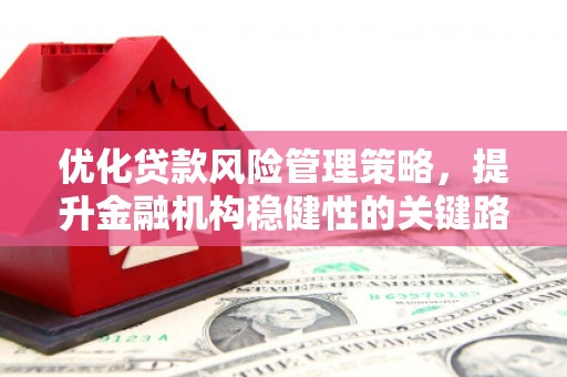 和县优化贷款风险管理策略，提升金融机构稳健性的关键路径