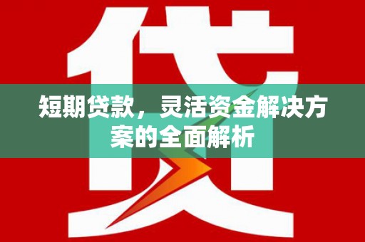 于田短期贷款，灵活资金解决方案的全面解析