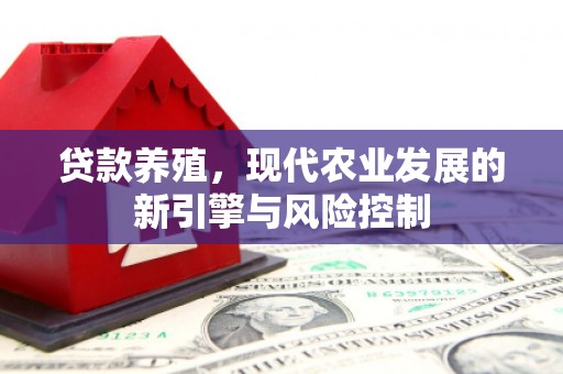 学甲贷款养殖，现代农业发展的新引擎与风险控制