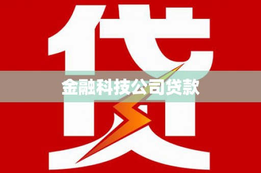 金安金融科技公司贷款