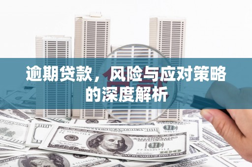 聂荣逾期贷款，风险与应对策略的深度解析