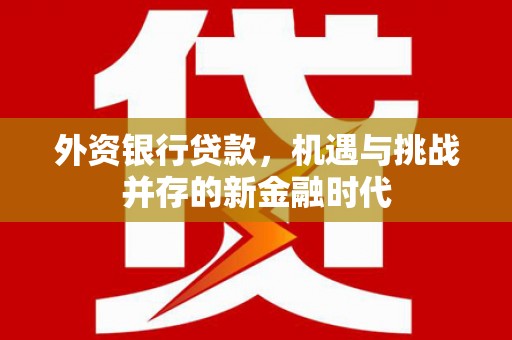 庆元外资银行贷款，机遇与挑战并存的新金融时代