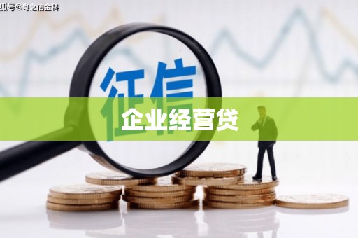 镇康企业经营贷