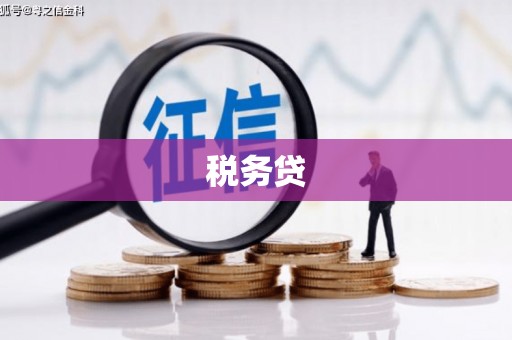 天峨税务贷