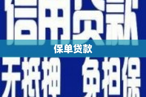 观音保单贷款