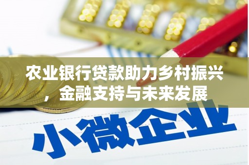 洛宁农业银行贷款助力乡村振兴，金融支持与未来发展