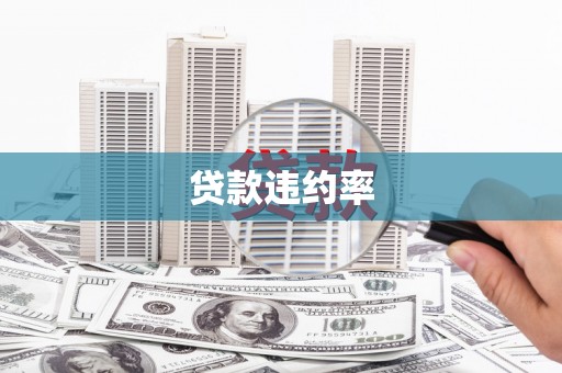 普陀贷款违约率