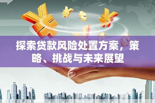 薛城探索贷款风险处置方案，策略、挑战与未来展望