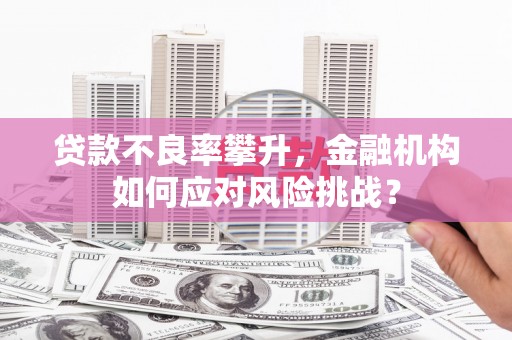 旬阳贷款不良率攀升，金融机构如何应对风险挑战？