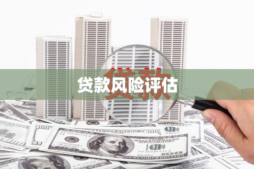 莱山贷款风险评估