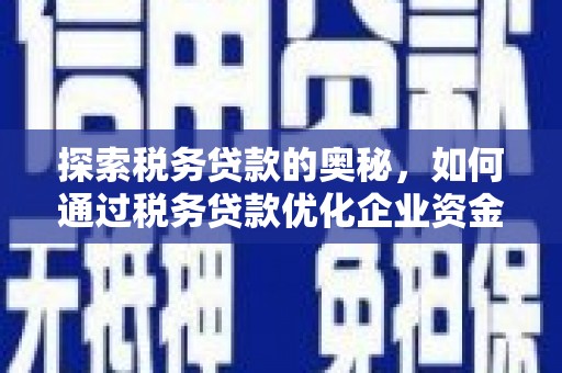 柳南探索税务贷款的奥秘，如何通过税务贷款优化企业资金流