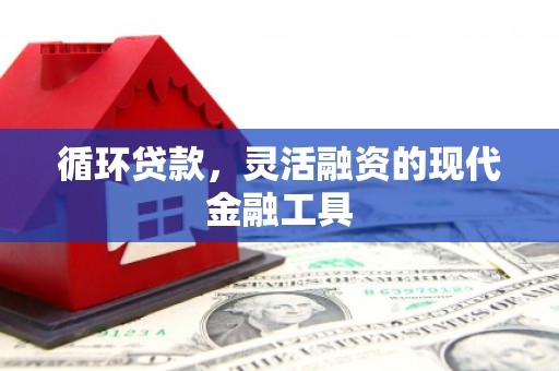 汤原循环贷款，灵活融资的现代金融工具