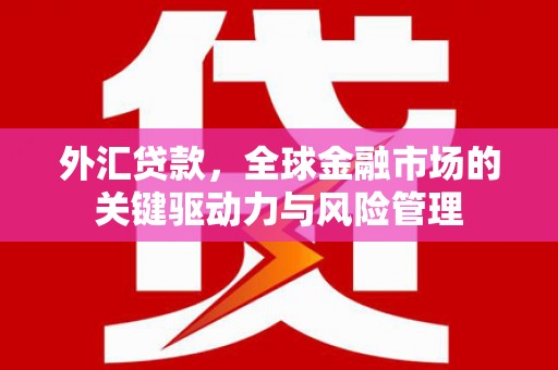 沧县外汇贷款，全球金融市场的关键驱动力与风险管理