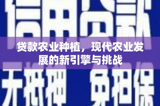 嘉禾贷款农业种植，现代农业发展的新引擎与挑战