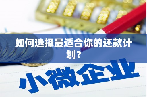 旅顺口如何选择最适合你的还款计划？