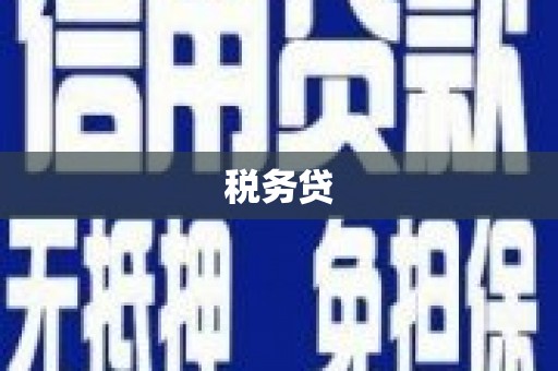 东源税务贷