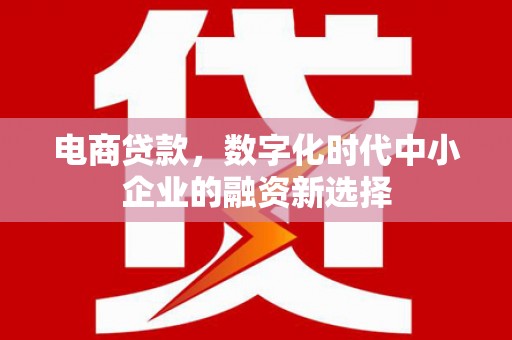 项城电商贷款，数字化时代中小企业的融资新选择