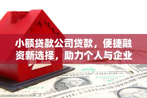 长兴小额贷款公司贷款，便捷融资新选择，助力个人与企业成长