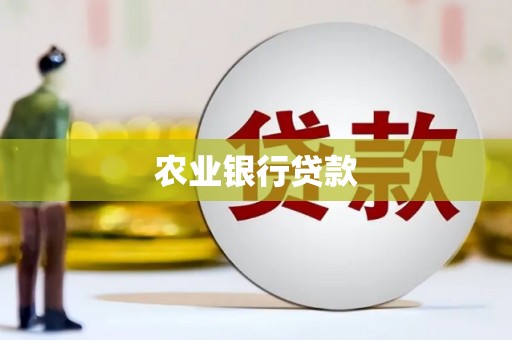 巴塘农业银行贷款