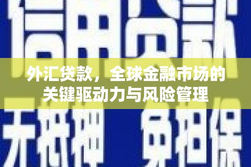 沙田外汇贷款，全球金融市场的关键驱动力与风险管理