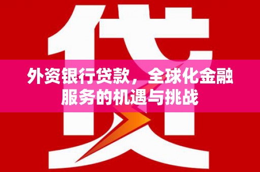 海拉尔外资银行贷款，全球化金融服务的机遇与挑战