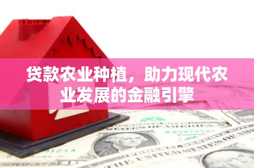 镇赉贷款农业种植，助力现代农业发展的金融引擎