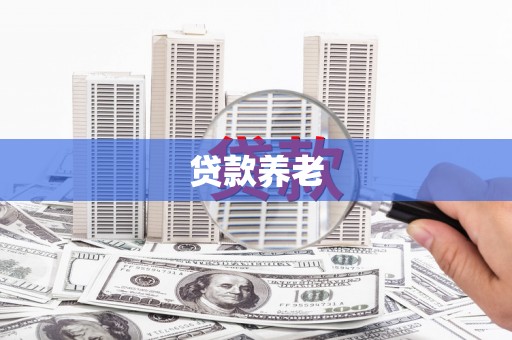 高淳贷款养老