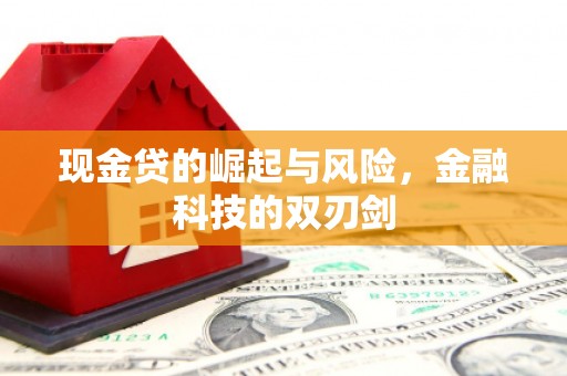 双牌现金贷的崛起与风险，金融科技的双刃剑