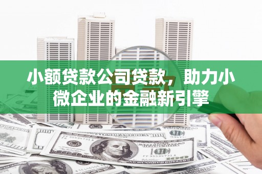 枋山小额贷款公司贷款，助力小微企业的金融新引擎