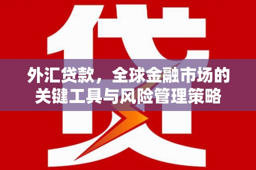 延安外汇贷款，全球金融市场的关键工具与风险管理策略