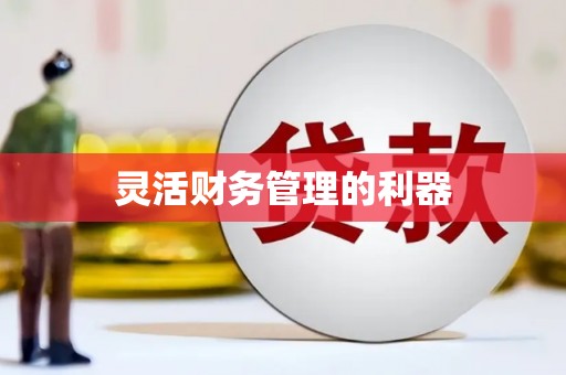 石家庄灵活财务管理的利器