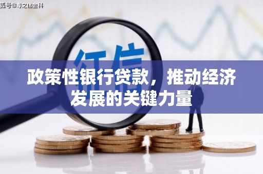 霍尔果斯政策性银行贷款，推动经济发展的关键力量