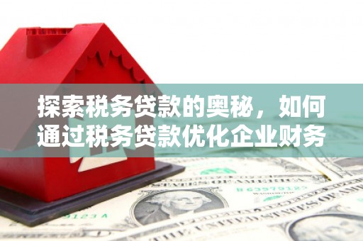 常平探索税务贷款的奥秘，如何通过税务贷款优化企业财务