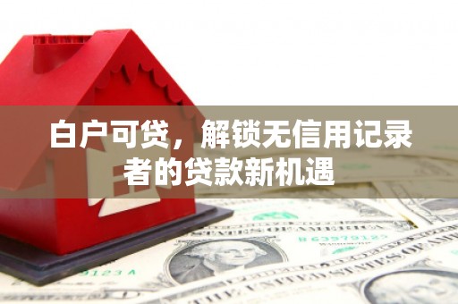 沂南白户可贷，解锁无信用记录者的贷款新机遇