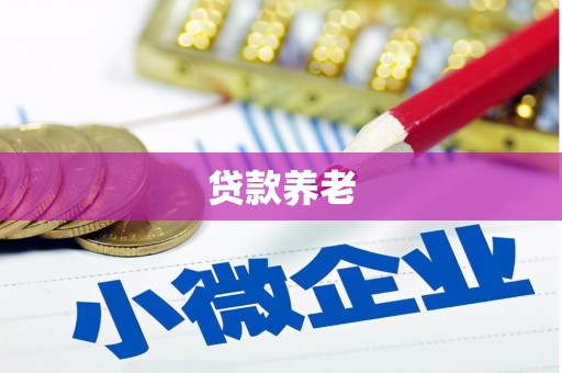 林甸贷款养老