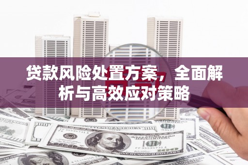 昌都贷款风险处置方案，全面解析与高效应对策略