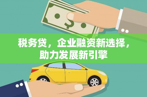 毕节税务贷，企业融资新选择，助力发展新引擎