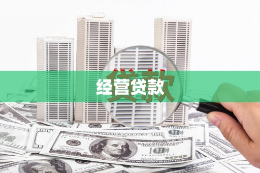 临翔经营贷款
