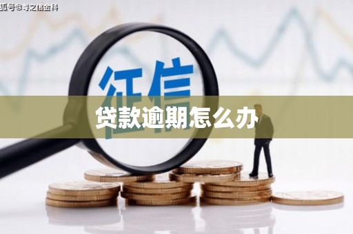 紫云贷款逾期怎么办