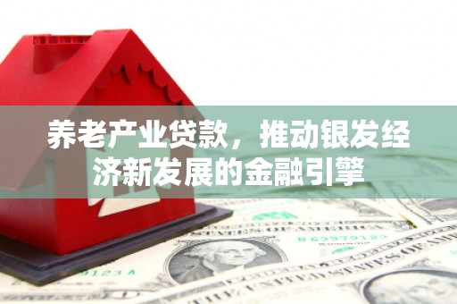 宾阳养老产业贷款，推动银发经济新发展的金融引擎