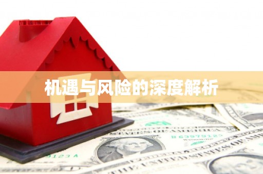 进贤机遇与风险的深度解析