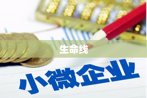 孟村生命线