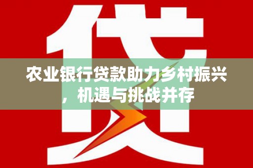 毕节农业银行贷款助力乡村振兴，机遇与挑战并存