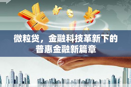 将乐微粒贷，金融科技革新下的普惠金融新篇章